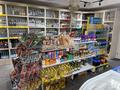 Магазины и бутики • 165 м² за 80 млн 〒 в Астане, Есильский р-н — фото 3