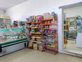 Еркін, дүкендер мен бутиктер, қоғамдық тамақтану орны · 341.2 м², бағасы: 59 млн ₸ в Экибастузе — фото 8