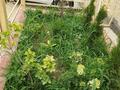 Часть дома · 3 комнаты · 65 м², Тулпар Саз 30 — ул Достык за 500 000 〒 в Каскелене — фото 15