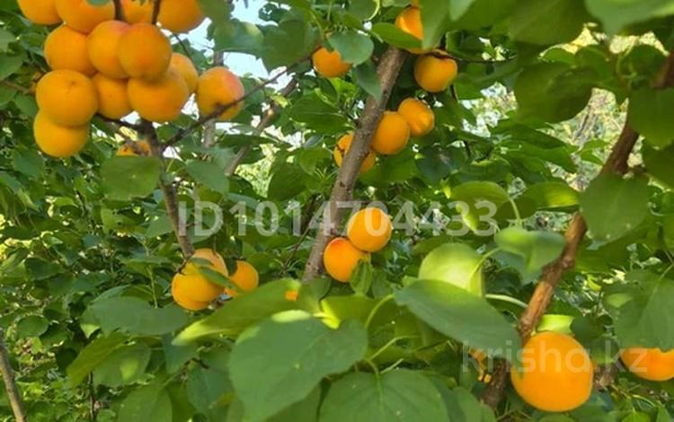 Саяжай · 2 бөлме · 16 м² · 6 жүзд., ПК Тимирязева дача 186 — Костанай за корейским мостом., бағасы: 2 млн ₸ в Тобыле — фото 2