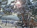 Жеке үй · 4 бөлме · 80 м² · 10 сот., Заречная 24, бағасы: 18 млн ₸ в Черемшанке — фото 39