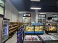 Продуктовый магазин · 170 м² за 42 млн ₸ в Астане, Есильский р-н — фото 3
