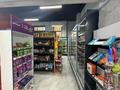 Продуктовый магазин · 170 м² за 42 млн ₸ в Астане, Есильский р-н — фото 4