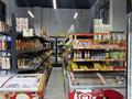 Продуктовый магазин · 170 м² за 42 млн ₸ в Астане, Есильский р-н — фото 8