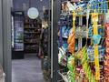 Продуктовый магазин · 170 м² за 42 млн ₸ в Астане, Есильский р-н — фото 9