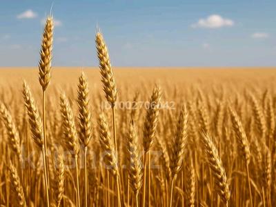 Бизнеса · 6000 м², бағасы: 130 000 〒 в Костанае