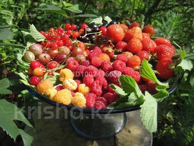 Дача · 2 комнаты · 45 м² · 8 сот., Тау жолы за ~ 5.6 млн 〒 в Кыргауылдах