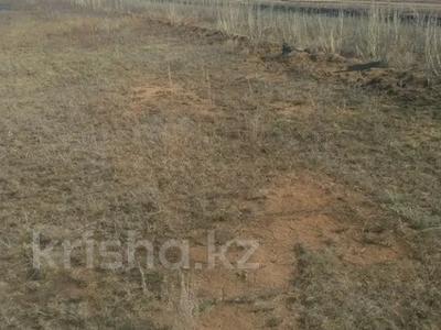 Жер телімі · 10 га, Бозайғыр, бағасы: 55 млн ₸ в 