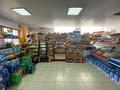 Магазины и бутики • 265 м² за 50 млн 〒 в Бурлин — фото 3