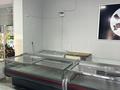 Готовая точка мясного магазина · 18 м², бағасы: 2.9 млн ₸ в Павлодаре — фото 3