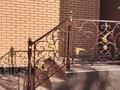 Отдельный дом · 6 комнат · 280 м² · 9 сот., Рябинка 50 за 60 млн ₸ в Уральске — фото 4