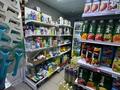 Готовый продуктовый магазин | Стабильный оборот | Без конкурентов · 70 м², бағасы: 25 млн ₸ в Астане, р-н Байконур — фото 11