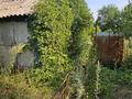 Жеке үй · 1 бөлме · 30 м² · 6.2 жүзд., С/т Алтай, бағасы: 400 000 ₸ в  — фото 6