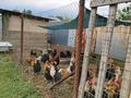 Отдельный дом · 4 комнаты · 120 м² · 12 сот., Аблай хана — Кичикова за 56.5 млн ₸ в  — фото 25