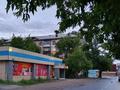 Магазины и бутики • 300 м² за 870 000 〒 в Павлодаре — фото 5