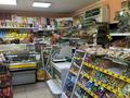 Продуктовый магазин · 70 м² за 35 млн ₸ в 
