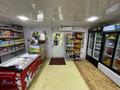Отдельный дом · 4 комнаты · 90 м² · 10 сот., Абая 4 — Магазин Ильяс за 20 млн ₸ в Глубокое — фото 2