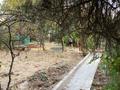 Дача · 2 комнаты · 24 м² · 8.5 сот., мкр Бозарык за 10 млн ₸ в Шымкенте, Абайский р-н — фото 5