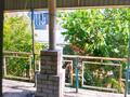 Дача · 3 комнаты · 60 м² · 8 сот., мкр Бозарык , Мкр.Бозарык 1 18 — улица Садовод переименовано на улицу Тоныкок за 15.5 млн ₸ в Шымкенте, Абайский р-н — фото 11