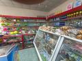 Магазины и бутики • 150 м² за 46 млн 〒 в Таразе