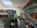 Магазины и бутики • 150 м² за 46 млн 〒 в Таразе — фото 9