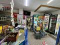 Жеке үй · 6 бөлме · 297.2 м² · 10 жүзд., Достык 82б, бағасы: 105 млн ₸ в Талапкер  — фото 19
