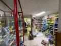 Жеке үй · 6 бөлме · 297.2 м² · 10 жүзд., Достык 82б, бағасы: 105 млн ₸ в Талапкер  — фото 20