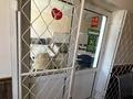 Магазины и бутики · 350 м² за 50 млн ₸ в Байконуре, Тюра-там — фото 4
