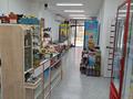 Магазины и бутики • 66 м² за 1 млн 〒 в Алматы, Наурызбайский р-н — фото 5