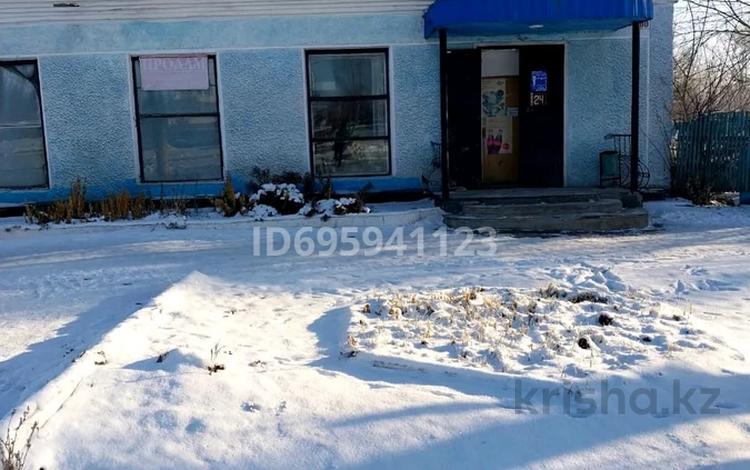 Дүкендер мен бутиктер · 250 м², бағасы: 20 млн ₸ в  — фото 2