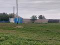 Отдельный дом · 3 комнаты · 81 м² · 10 сот., Каргалы 8 — Село Алгабас за 10 млн ₸ в Аксу — фото 26