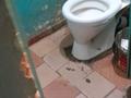 1 бөлме · 16 м² · 3/9 қабат, Серикбаева 1 — Потанина, бағасы: 80 000 ₸ в Усть-Каменогорске, Ульбинский — фото 6