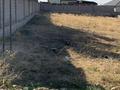 Участок · 8 соток, мкр Ынтымак 78 за 17 млн ₸ в Шымкенте, Абайский р-н — фото 3