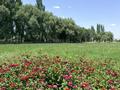 Участок · 78 соток, Каскелен за 45 млн ₸