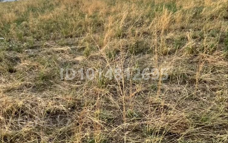 Жер телімі · 16 сотық, Көкжиек 109, бағасы: 8 млн ₸ в Узынагаш — фото 2