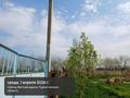 Участок · 125 соток, Зерек 32 за 40 млн ₸ в Асыкате — фото 5