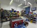 Магазин · 100 м², бағасы: 17 млн ₸ в Астане, Есильский р-н — фото 3