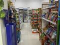 Магазин · 100 м², бағасы: 17 млн ₸ в Астане, Есильский р-н — фото 5