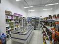 Магазин · 100 м², бағасы: 17 млн ₸ в Астане, Есильский р-н — фото 6