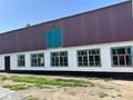 Отдельный дом · 5 комнат · 160 м² · 12 сот., Бейбитшилик 8 за 25 млн ₸ в Бауыржан Момышулы — фото 10