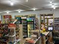 Магазин продуктовый · 80 м² за 55 млн ₸ в Шымкенте, Аль-Фарабийский р-н — фото 4