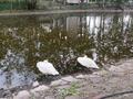 Дача · 2 комнаты · 44 м², Приозерная за 25 000 ₸ в Щучинске — фото 17