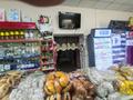Магазины и бутики, склады • 150 м² за 46 млн 〒 в Таразе — фото 6
