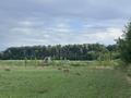 Участок · 2 га, Жамбыл (Жамбылский район) за 30 млн ₸ — фото 9