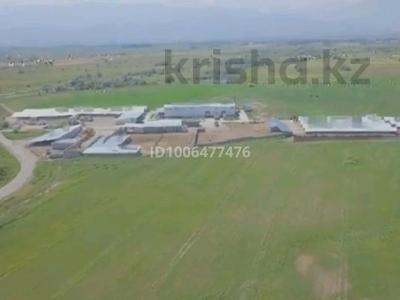 Действующий современный животноводческий комплекс · 20000 м² за 2 млрд 〒 в Акши (Енбекшиказахском районе)