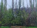Жер телімі · 17 сотық, Школа, бағасы: 10 млн ₸ в  — фото 11