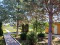 Отдельный дом · 5 комнат · 145 м² · 20 сот., Құтпанбетова 14А за 26 млн ₸ в Баканасе — фото 8