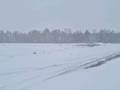 Участок · 38 га, Костомар 37 — Возле Костомар за 210 млн ₸ в Аршалы — фото 7