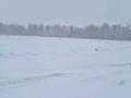 Участок · 38 га, Костомар 37 — Возле Костомар за 210 млн ₸ в Аршалы — фото 9