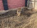 Жеке үй · 3 бөлме · 190 м² · 8 жүзд., Валиханова, бағасы: 15 млн ₸ в Кокшетау — фото 2